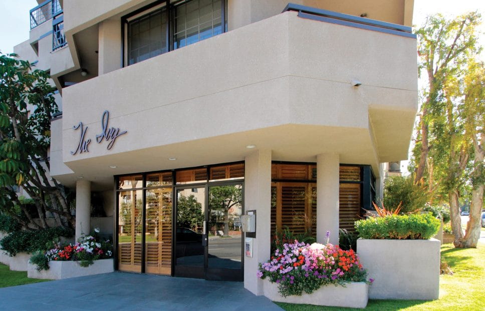 Apartment Rentals in California The Ivy