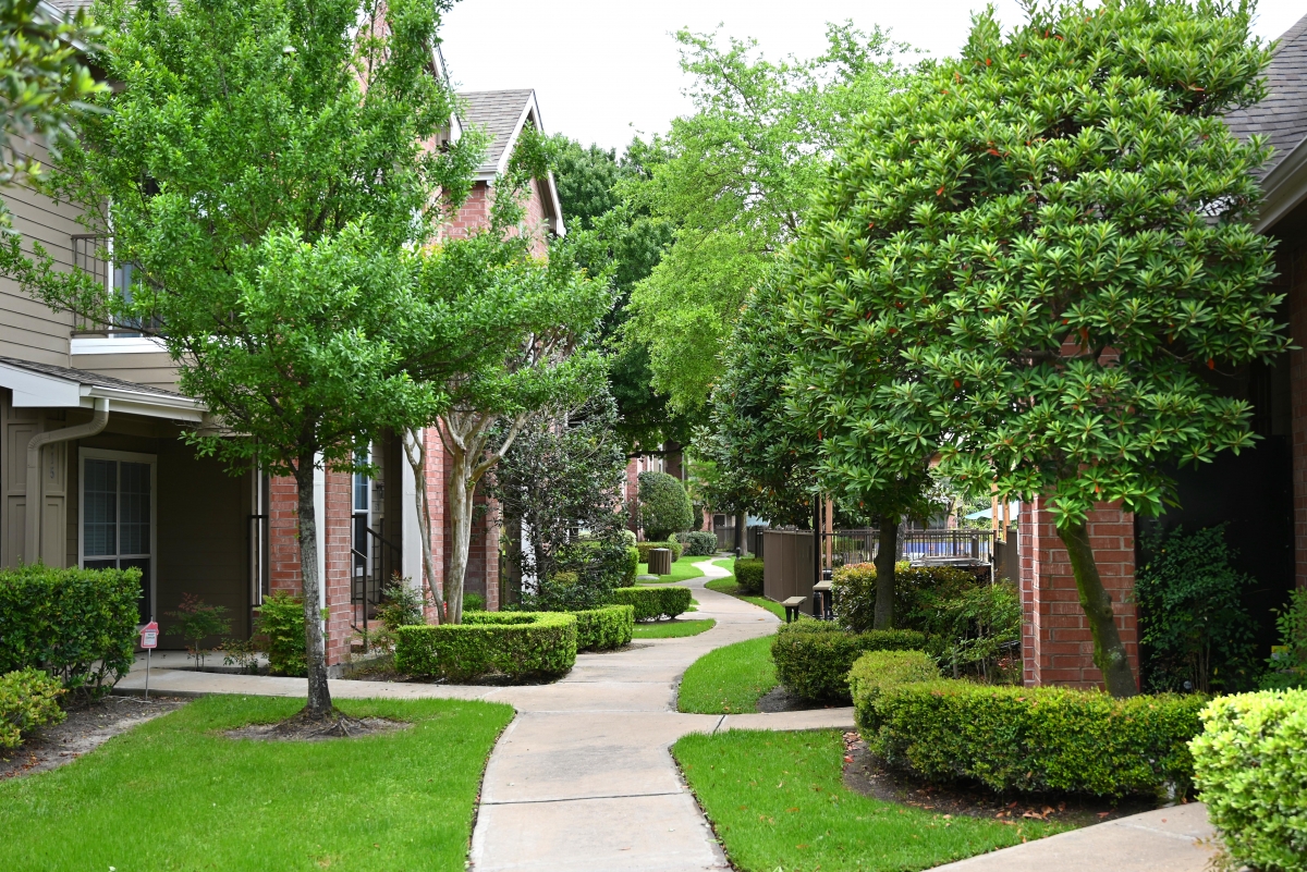 Francis Property Management A narrow, winding pathway runs through a well-maintained residential neighborhood in Houston, flanked by neatly trimmed bushes, small trees, and residential buildings on either side.